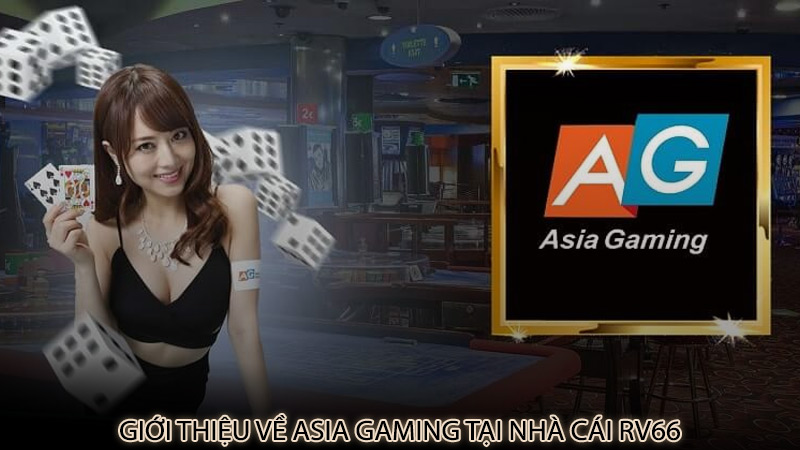 Giới thiệu về Asia Gaming tại nhà cái rv66